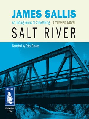 cover image of Salt River